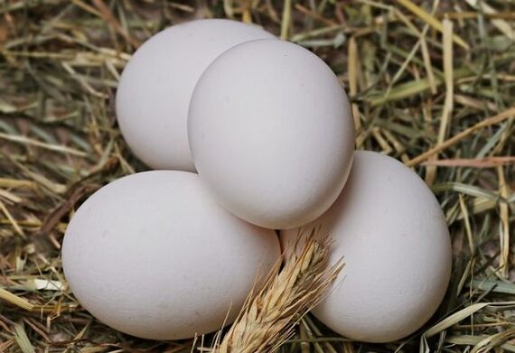 Bei der Eierdiät werden täglich Hühnereier gegessen. 