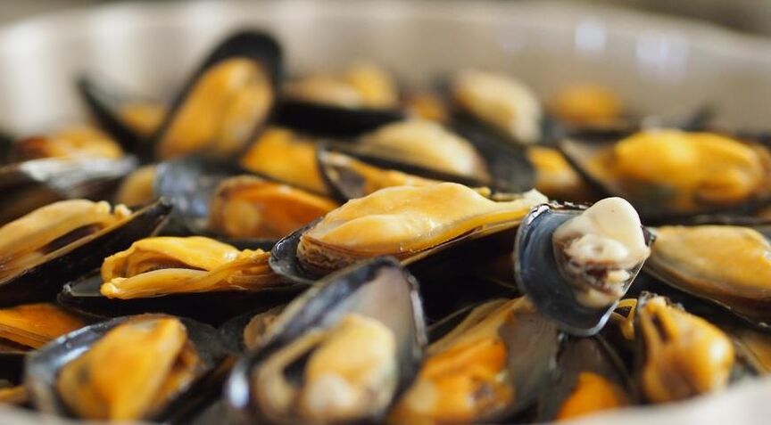 Muscheln mit einer Proteindiät